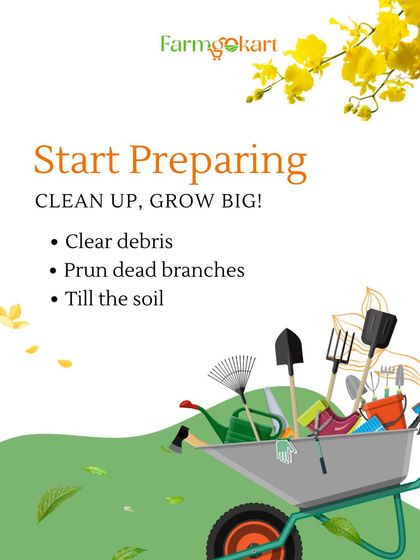 Essential Tools for Your Garden photo 11