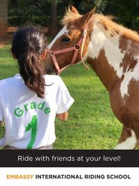 Equestrian Camps for Kids