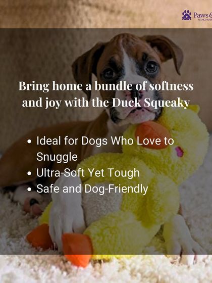 PawsnCollars - Pet Supplies Playtime & Enrichment Toys photo 3