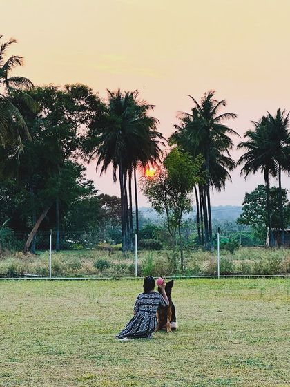 The Pawsome Camp - Dog Daycare & Boarding The Pawsome Playground: 2 Acres of Freedom photo 20