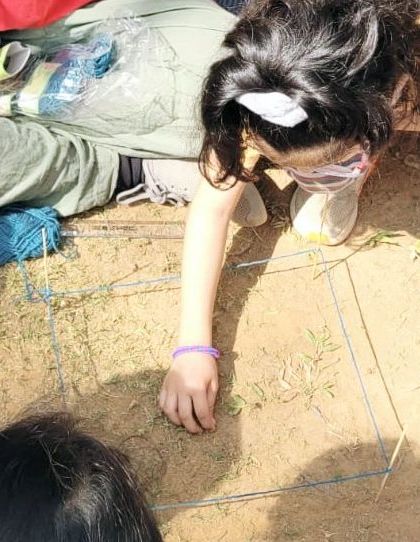 The Earth School - Nature & Community Engagement Programs Little Scientists: Hands-On Nature Experiments photo 76