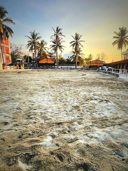 The main sand arena at sunset, an empty canvas ready for any event. The palm trees and city buildings in the distance create our unique urban ranch vibe.