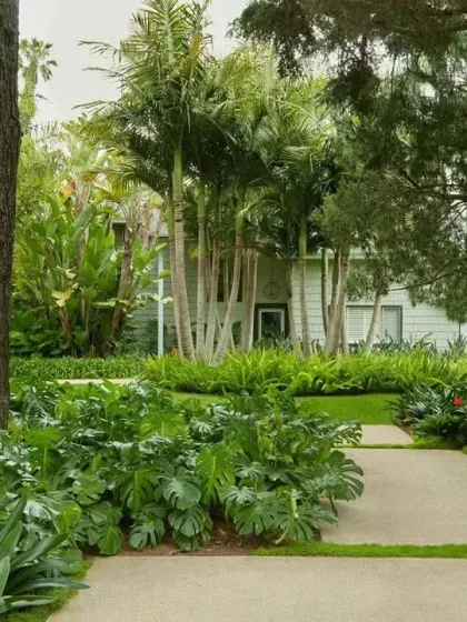 A tranquil garden path winds through a dense, forest-like setting with mature trees and shade-loving plants like Monstera. A rustic wooden bench provides a quiet spot for contemplation.