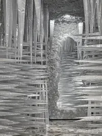 Exhibition Design & Curation
