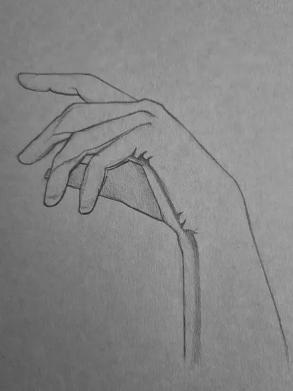 The initial line drawing for the hand study, showing the importance of an accurate structural sketch before shading.