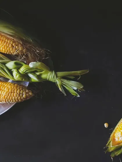 A dark and moody shot of fresh corn on the cob against a black background, emphasizing its natural texture and golden color.