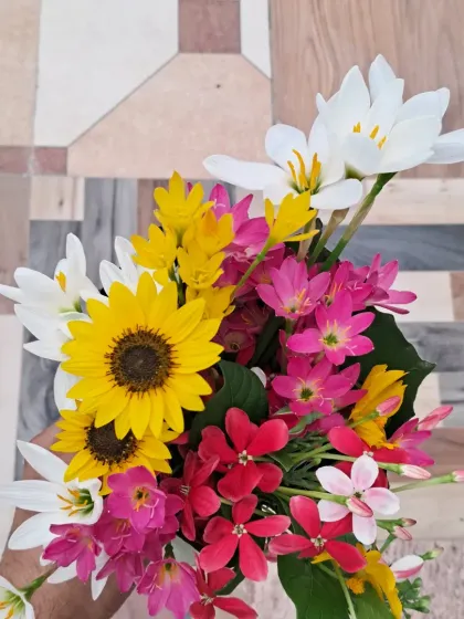 Bhardwaj - Urban Gardening Consultation A Riot of Colorful Flowers photo 33