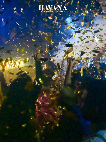 The Live Show Experience photo 29