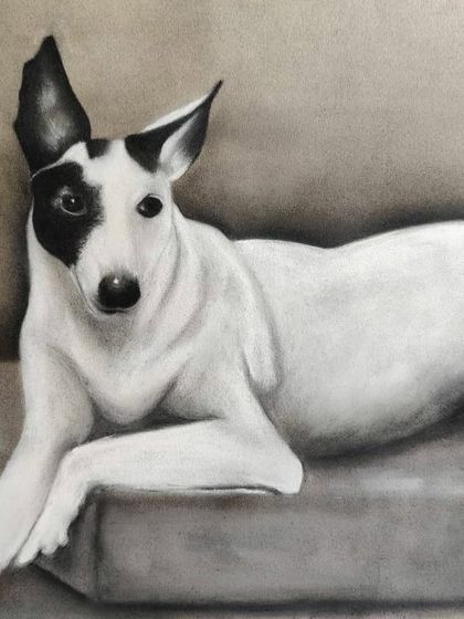 Whether it's a pet portrait or an abstract piece, I'm here to create something you'll love. This charcoal drawing of a dog with a distinctive patch shows how a simple portrait can capture so much personality.