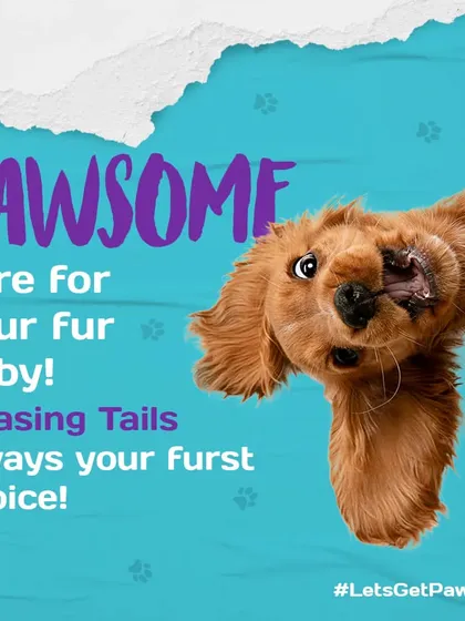 This happy face says it all. I believe in providing pawsome care for your fur baby, making sure they are healthy, happy, and loved.