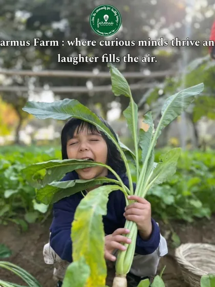 This is what pure happiness looks like. A young visitor is overjoyed after pulling up a giant, fresh radish from our organic vegetable patch. It’s these real, earthy moments that make a day at Farmus so special.
