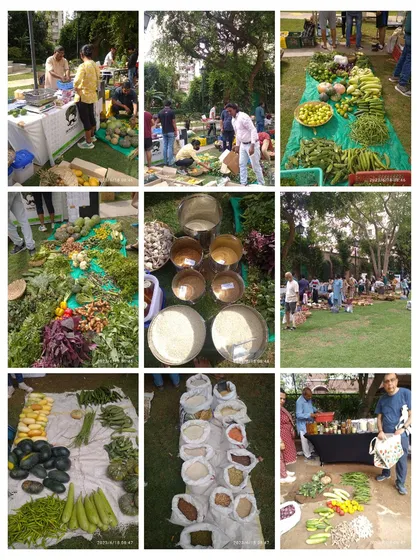 A collage of snapshots from the market, showing the variety of produce and the lively atmosphere.
