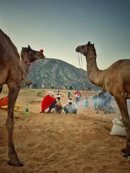 A ground-level view from within the camel camp, showing the traders relaxing by a fire. This perspective makes you feel like you are right there with them.