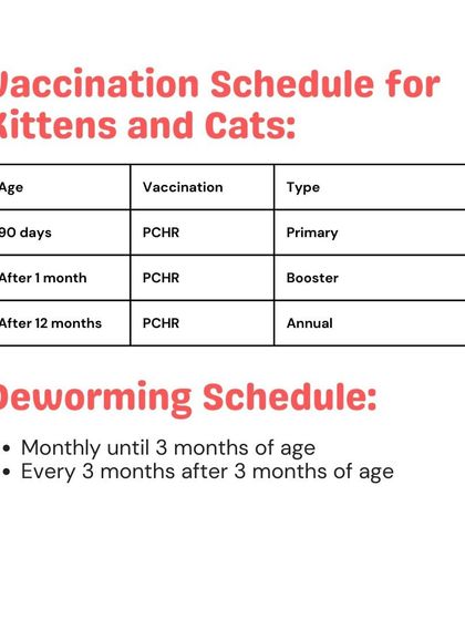 Woofly - Home Veterinary Services At-Home Vaccinations & Deworming photo 15