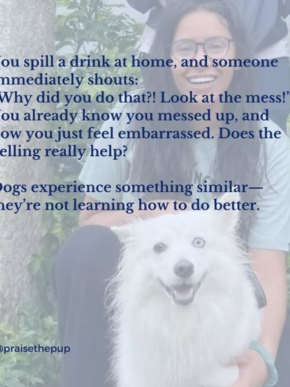 Imagine you spill a drink and someone yells at you. It doesn't help, it just makes you feel bad. Yelling at a dog has a similar effect. It doesn't teach them what to do instead; it just creates stress and confusion.