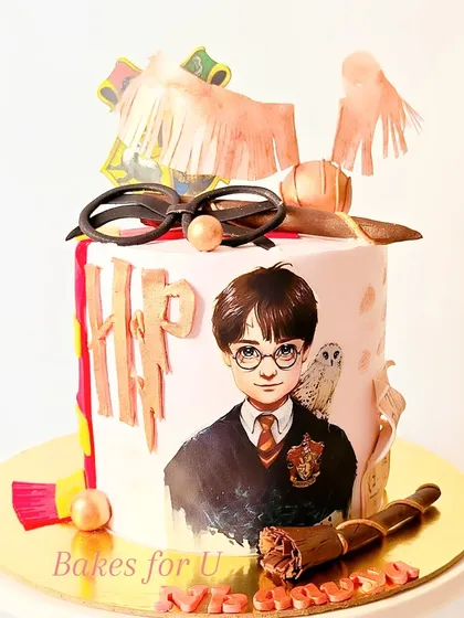A detailed Harry Potter cake featuring a hand-painted portrait of Harry, his owl Hedwig, and other iconic elements like his glasses and a wand.