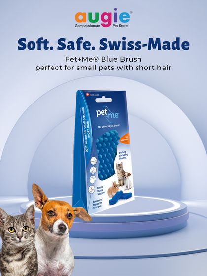 Augie Pets - Pet Supplies Spa Day at Home: Gentle Grooming Essentials photo 20