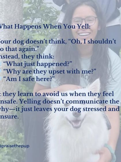 When you yell, your dog doesn't think, "I shouldn't do that again." They think, "Why are they upset?" and "Am I safe?" This erodes their trust and teaches them to avoid you when they feel unsure.