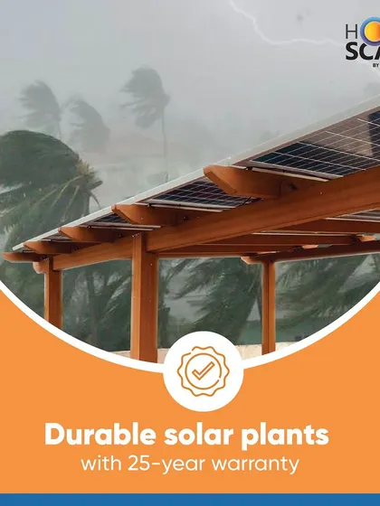 Our durable solar plants come with a 25-year warranty, guaranteeing long-term performance and peace of mind.