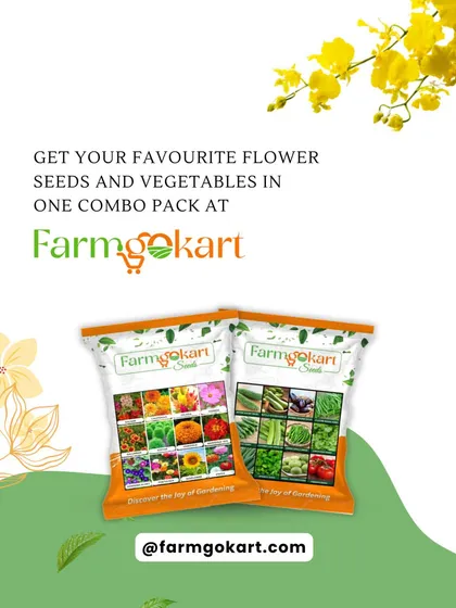 Whether you want a garden bursting with colorful flowers or one filled with fresh vegetables, I have the perfect combo pack for you. My seed collections are designed to give you a variety of high-quality options in one easy package.