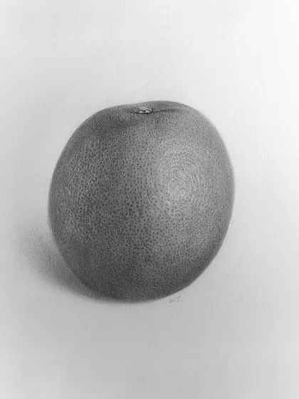 A detailed study of an orange. The goal here was to capture the unique, dimpled texture of the orange peel through careful shading and highlighting.