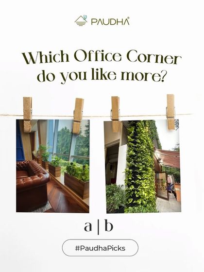 Paudha - Commercial Biophilic & Interior Design Office & Workspace Transformations photo 8