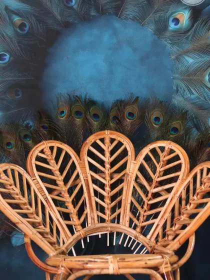 A close-up of our peacock-themed props, including a beautiful wicker chair and a backdrop of fanned-out peacock feathers.