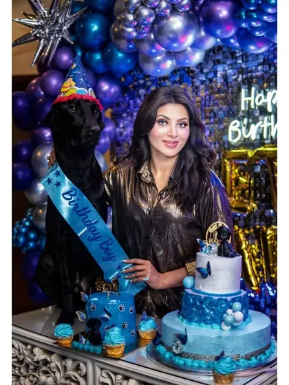 We were thrilled to design this luxury birthday party for actress Urvashi Rautela and her adorable dog. The setup featured a rich blue and silver balloon wall, a custom neon sign, and multiple themed cakes for a truly special celebration.