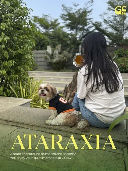 Find your moment of calm. Here, you can enjoy a quiet drink and unwind with your furry co-worker by your side. It's the perfect way to balance work and relaxation.