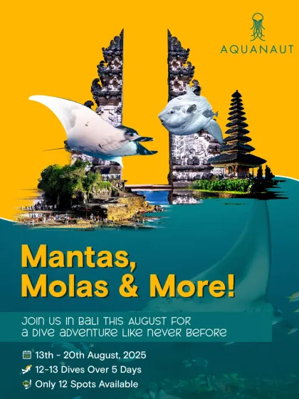 Mantas, Molas, and More. Our Bali trip is scheduled during peak Mola Mola season and includes dives at the famous Liberty Wreck.