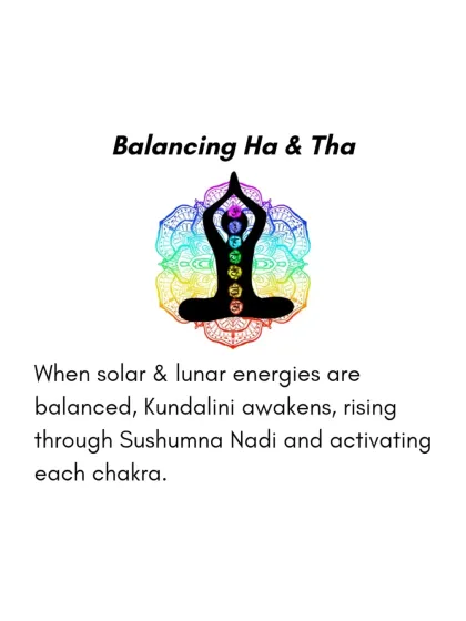 Rohit N - Yoga Teacher Training The Science of Yoga & Ayurveda photo 6