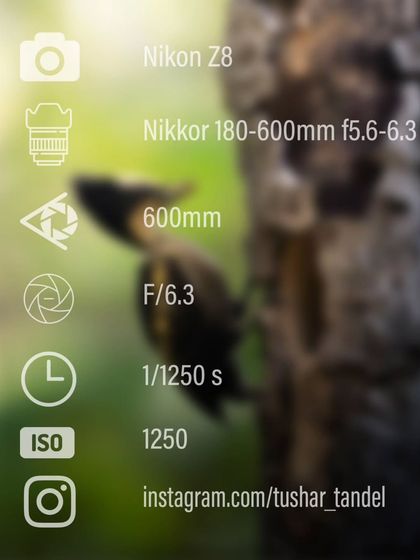 Gear, Tips, and Techniques photo 3