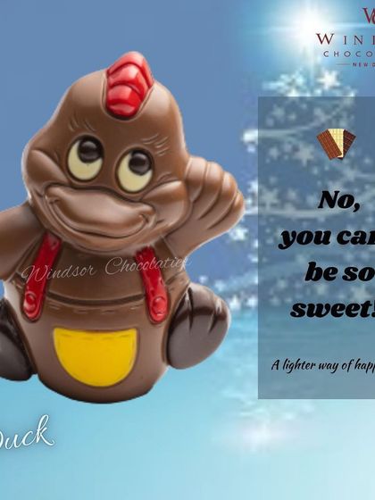 A playful chocolate duck figure with big, expressive eyes and a cheerful smile, perfect for kids.