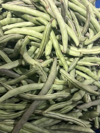 A basket full of crisp green beans. These are a familiar vegetable but sourced for the specific taste and texture preferred in our home-style cooking.