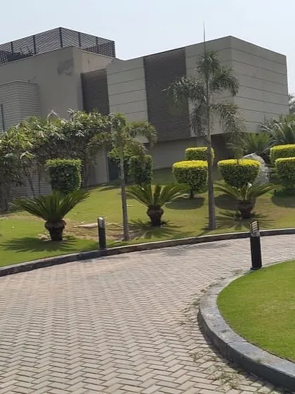 This is another view of a large-scale landscaping project, showing how I use curved paths and strategically placed plants like cycads to guide the eye and create interest across a large property.