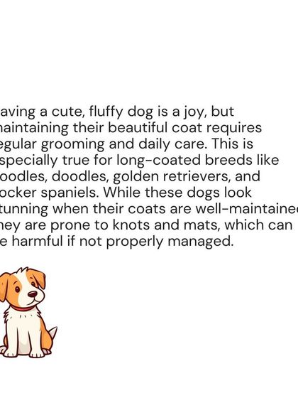 Woofly - At-Home Pet Grooming My Guide to a Healthy Pet photo 34