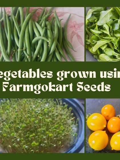 Our Gardening Community photo 4