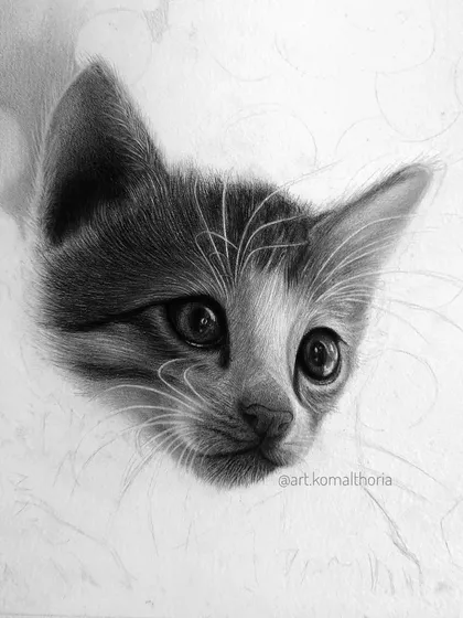 A work-in-progress shot of the cat's face, showing how the form is built up with careful shading before the final fur details are added.
