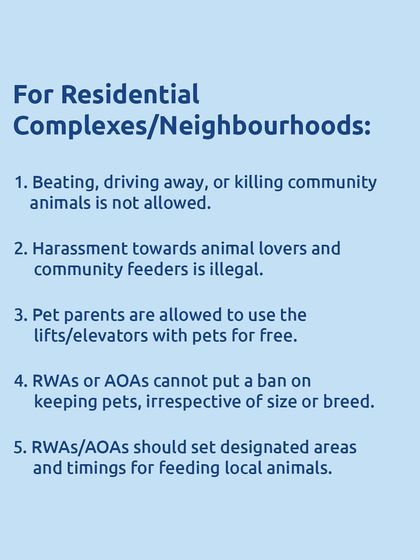 For residential complexes in Mumbai: harassing animal feeders is illegal, and RWAs cannot ban residents from keeping pets, regardless of size or breed. Know your rights.