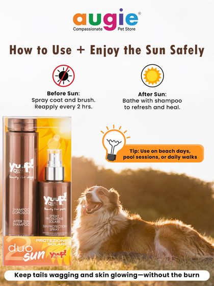 Augie Pets - Pet Supplies Health, Wellness & Pet Care Tips photo 22