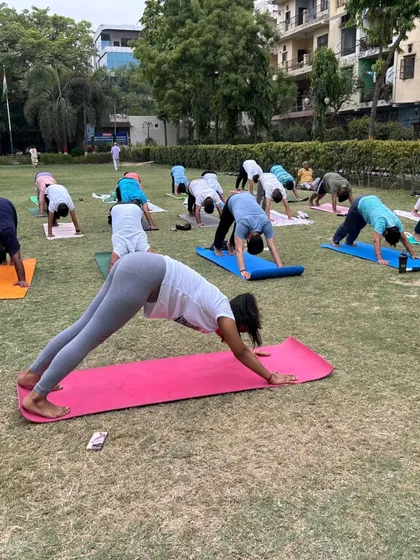 A line of participants in Downward-Facing Dog, demonstrating the synchronized flow of a large class.