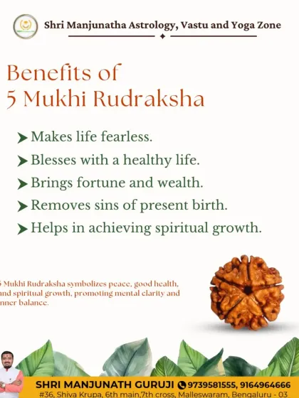 Manjunath Guruji - Spiritual Remedies for Well-being & Success Balancing Planetary Influences (Graha Shanti) photo 6