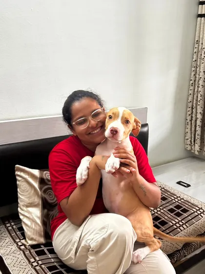 This is the heart of my work. A quiet moment of trust and connection with a young pup. Before any commands are taught, I focus on building a safe and loving bond, because a happy dog is one who feels understood and secure.