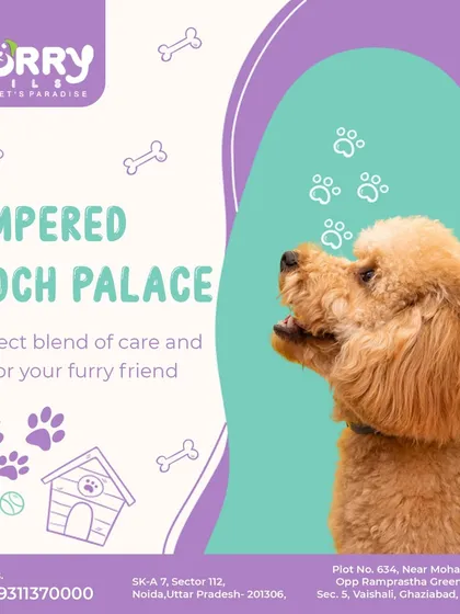 Welcome to the "Pampered Pooch Palace," where we offer a perfect blend of care and style for your furry friend.