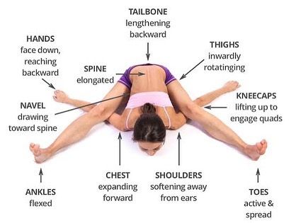 An instructional diagram explaining the key alignment points of Kurmasana (Tortoise Pose).