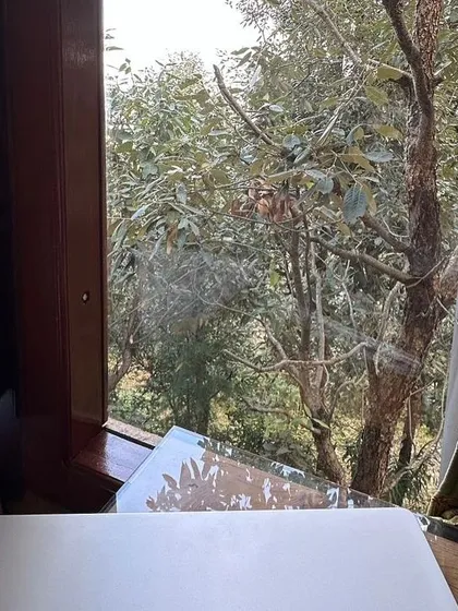 A writer's desk with a view. We believe that your environment shapes your work, which is why every space is designed to inspire.