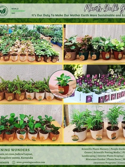 We are equipped to handle bulk orders of any size. This collage showcases our wide variety of healthy plants, from indoor foliage to flowering species, all ready to be potted and prepared for your corporate events or as return gifts.