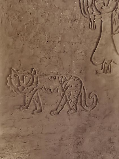 A close-up of a relief mural on a mud wall, depicting a tiger. This type of artwork, often done by the women of the household using mud and cow dung, tells stories and brings the walls to life.