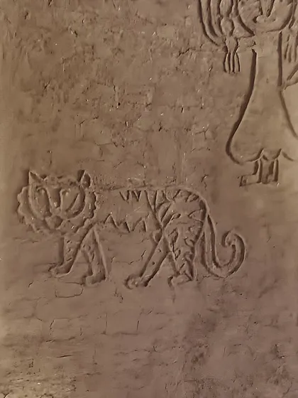 A close-up of a relief mural on a mud wall, depicting a tiger. This type of artwork, often done by the women of the household using mud and cow dung, tells stories and brings the walls to life.