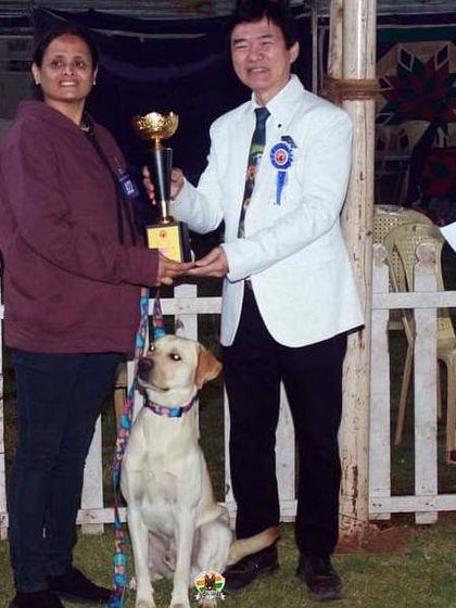 K9 Gurukul - Dog Training for Shows & Media Champions of the Show Ring photo 22